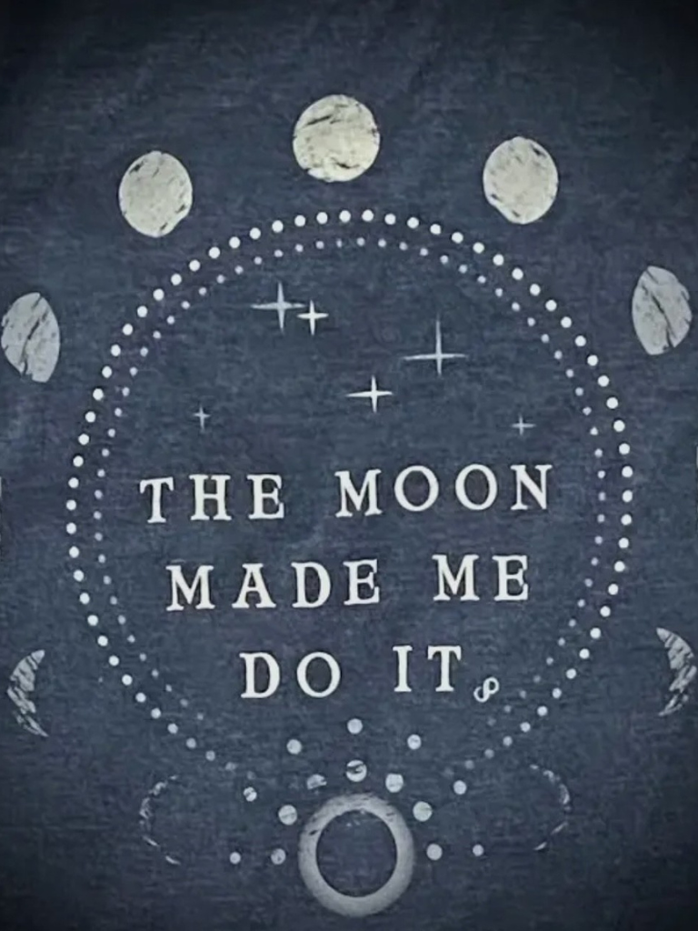 The Moon Made Me Do It Folded Close Up View